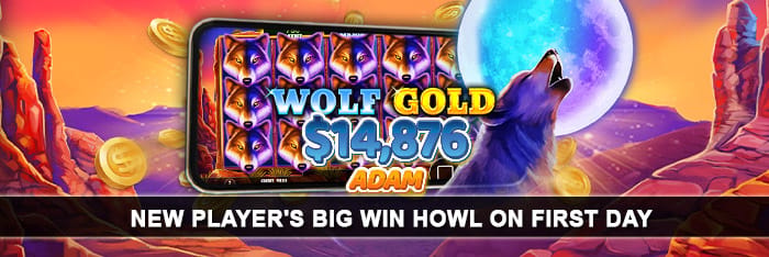 emucasino-new-article-image-february-2022-big-winner-article