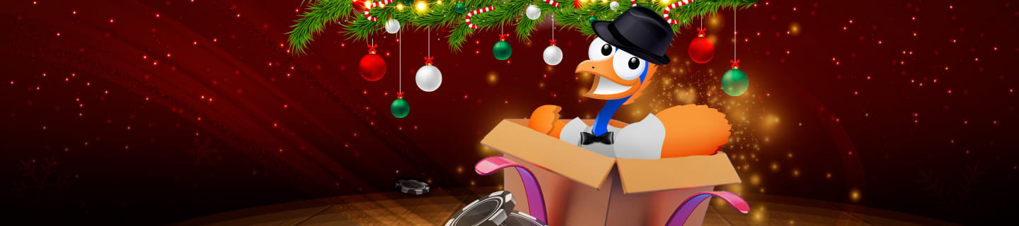 ec-content-banner-promotion-christmas