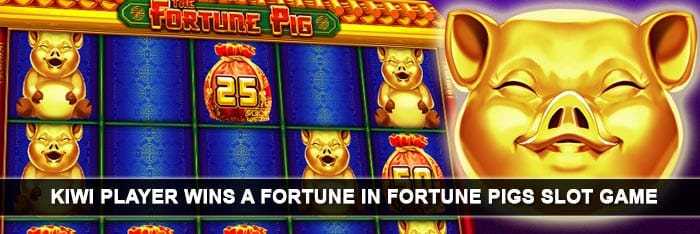 fortune-pig-slot-big-win-emucasino