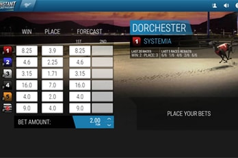 Instant Virtual Greyhounds Screenshot Image