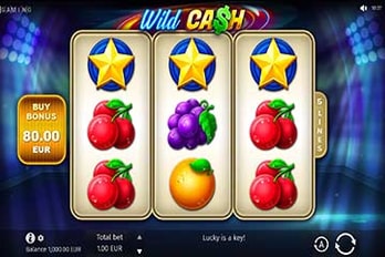 Wild Cash Slot Game Screenshot Image