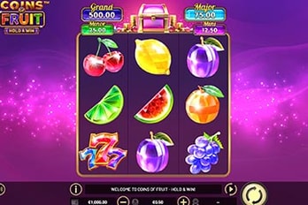 Coins Of Fruit Hold and Win Slot Game Screenshot Image