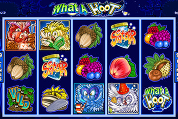 What A Hoot Slot Game Screenshot Image