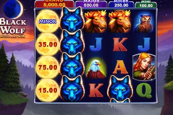Black Wolf: Hold and Win Slot Game Screenshot Image