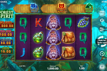 Forest Spirit: Hold and Win Slot Game Screenshot Image