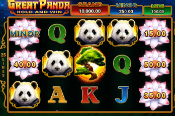 Great Panda: Hold and Win Slot Game Screenshot Image