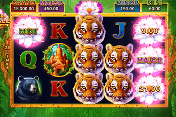 Tiger Jungle: Hold and Win Slot Game Screenshot Image