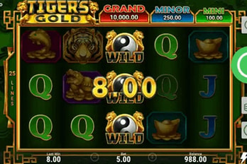 Tiger's Gold: Hold and Win Slot Game Screenshot Image