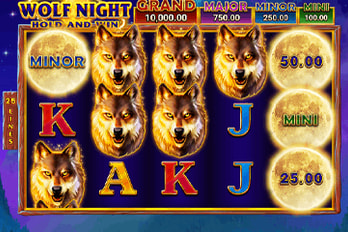 Wolf Night: Hold and Win Slot Game Screenshot Image