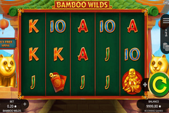 Bamboo Wilds Slot Game Screenshot Image