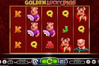 Golden Lucky Pigs Slot Game Screenshot Game