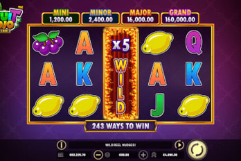 Fruit Mojo: Hold and Win Slot Game Screenshot Image