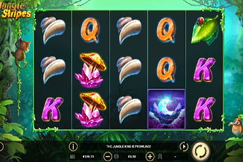 Jungle Stripes Slot Game Screenshot Image