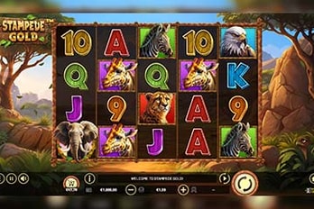 Stampede Gold Slot Game Screenshot