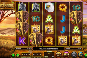 Stampede Slot Game Screenshot Image