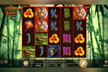 Tiger's Luck: Hold and Win Slot Game Screenshot Image