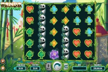 Panda Play Time Slot Game Screenshot Image