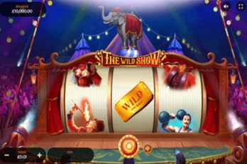 The Wild Show Slot Game Screenshot Image