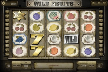 Wild Fruits Slot Game Screenshot Image