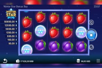 Winter Star: Bonus Buy Slot Game Screenshot Image