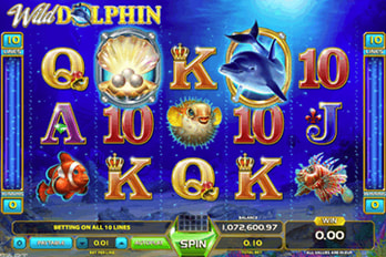 Wild Dolphin Slot Game Screenshot Image