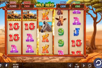 Wild Herd Slot Game Screenshot Image
