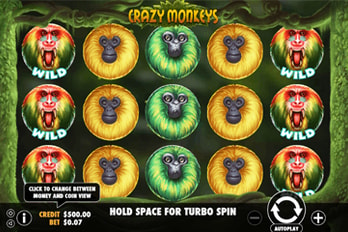 Crazy Monkeys Slot Game Screenshot Image