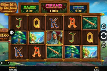 William Tell & the Wild Arrows Hold & Win Slot Game Screenshot Image