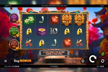 Blessed Dragons: Hold and Win Slot Game Screenshot Image