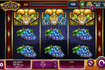 Double Joker Slot Game Screenshot Image