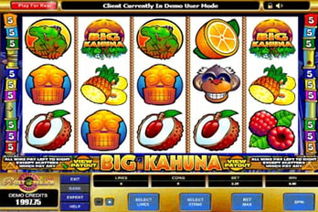 Big Kahuna Slot Game Screenshot Image
