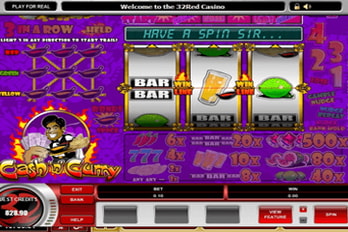 Cash 'n' Curry Slot Game Screenshot Image