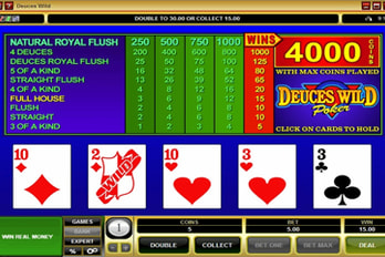 Deuces Wild Video Poker Screenshot Image