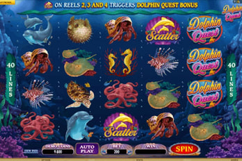 Dolphin Quest Slot Game Screenshot Image