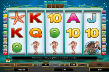 Dolphin Reef Slot Game Screenshot Image
