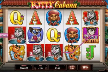 Kitty Cabana  Slot Game Screenshot Image