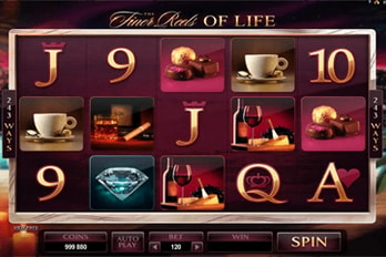 The Finer Reels of Life Slot Game Screenshot Image