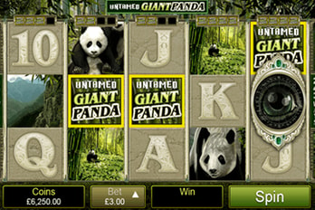 Untamed Giant Panda Slot Game Screenshot Image