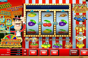 Wheel of Plenty Slot Game Screenshot Image