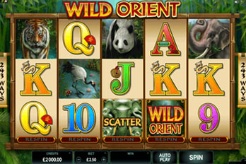 Wild Orient Slot Game Screenshot Image