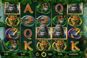 Gorilla Kingdom Slot Game Screenshot Image