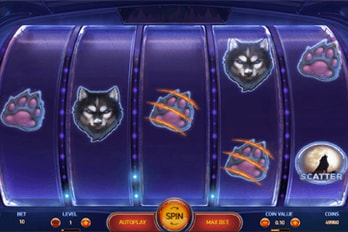 Spinsane Slot Game Screenshot Image