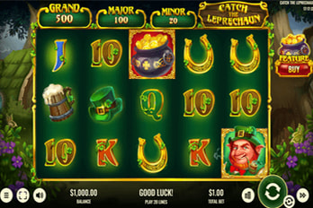 Platipus Catch the Leprechaun Slot Game Screenshot Image
