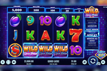 Wild Spin Deluxe Slot Game Screenshot Image