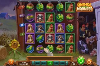 Animal Madness Slot Game Screenshot Image