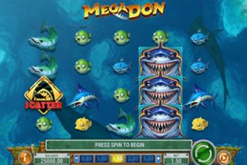 Mega Don Slot Game Screenshot Image