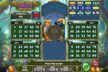 Rainforest Magic Bingo Other Game Screenshot Image
