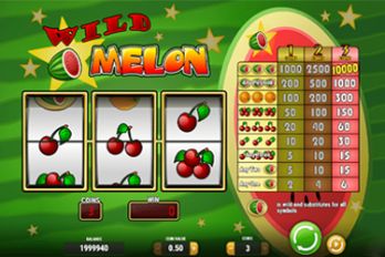 Wild Melon Slot Game Screenshot Image