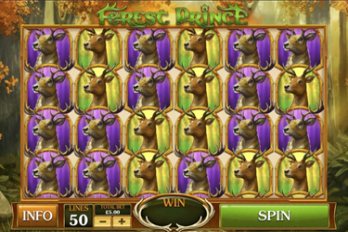 Forest Prince Slot Game Screenshot Image