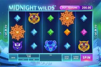 Midnight Wilds Slot Game Screenshot Image